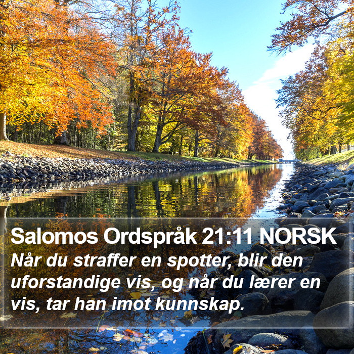 Salomos Ordspråk 21:11 NORSK Bible Study