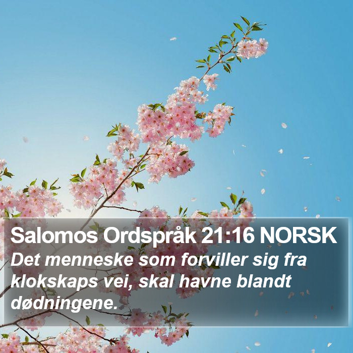 Salomos Ordspråk 21:16 NORSK Bible Study