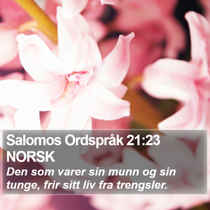 Salomos Ordspråk 21:23 NORSK Bible Study