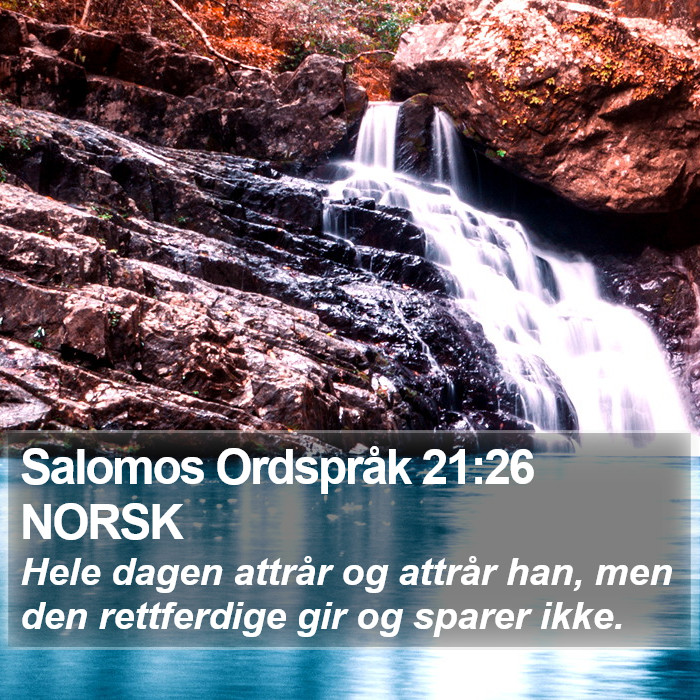 Salomos Ordspråk 21:26 NORSK Bible Study