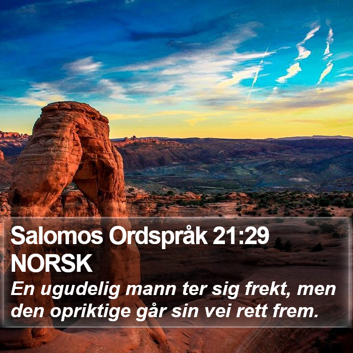 Salomos Ordspråk 21:29 NORSK Bible Study