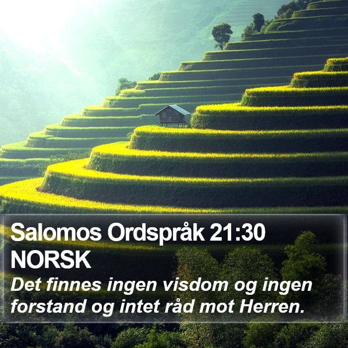 Salomos Ordspråk 21:30 NORSK Bible Study