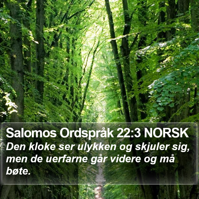 Salomos Ordspråk 22:3 NORSK Bible Study