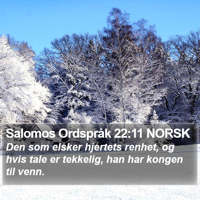 Salomos Ordspråk 22:11 NORSK Bible Study