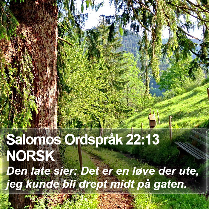 Salomos Ordspråk 22:13 NORSK Bible Study