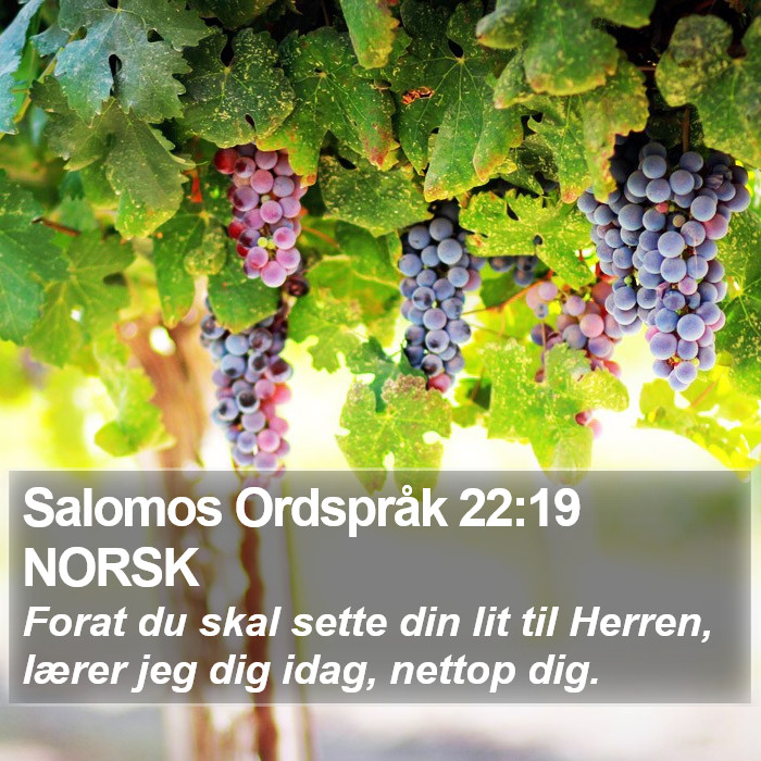 Salomos Ordspråk 22:19 NORSK Bible Study