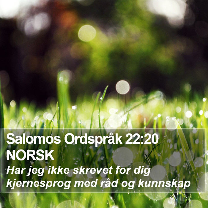 Salomos Ordspråk 22:20 NORSK Bible Study