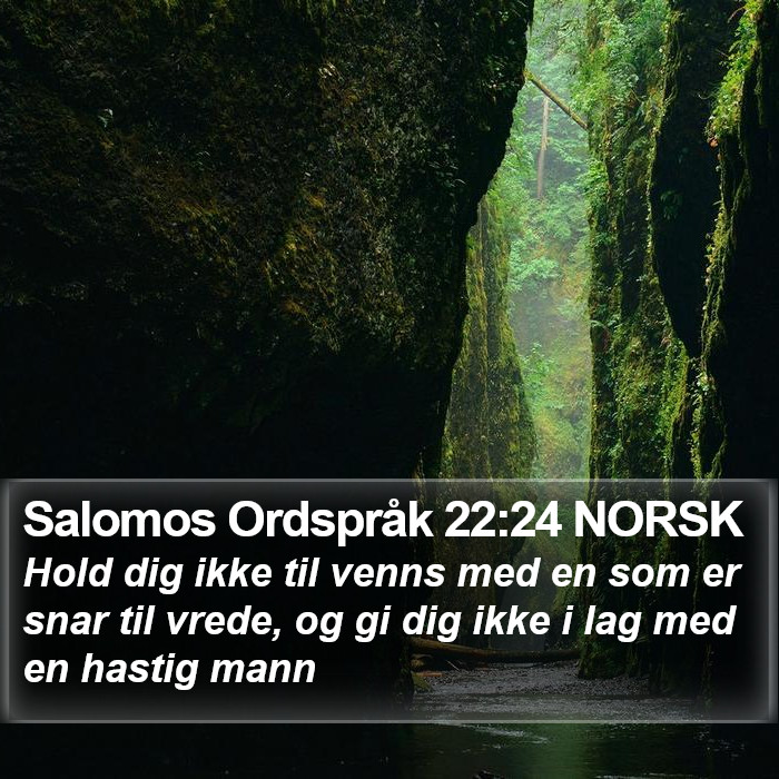 Salomos Ordspråk 22:24 NORSK Bible Study