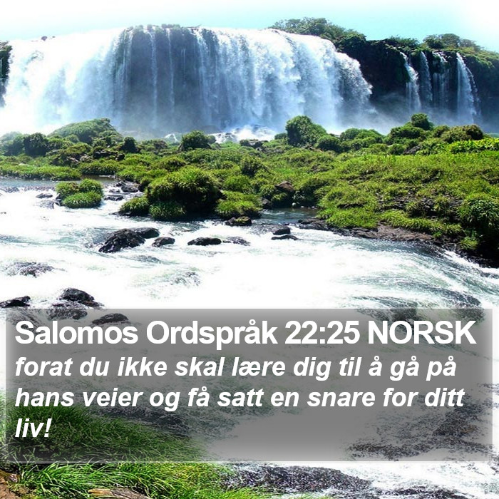 Salomos Ordspråk 22:25 NORSK Bible Study