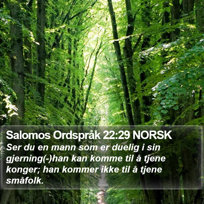 Salomos Ordspråk 22:29 NORSK Bible Study