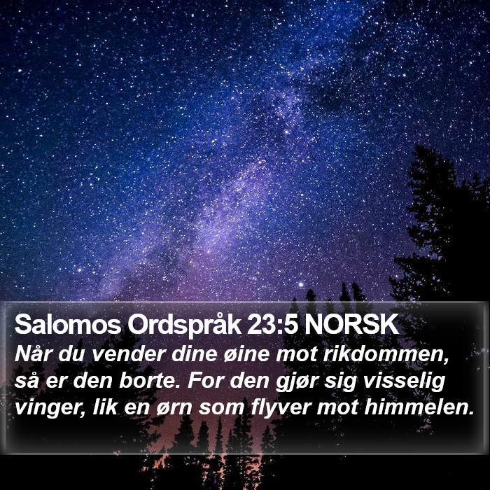 Salomos Ordspråk 23:5 NORSK Bible Study