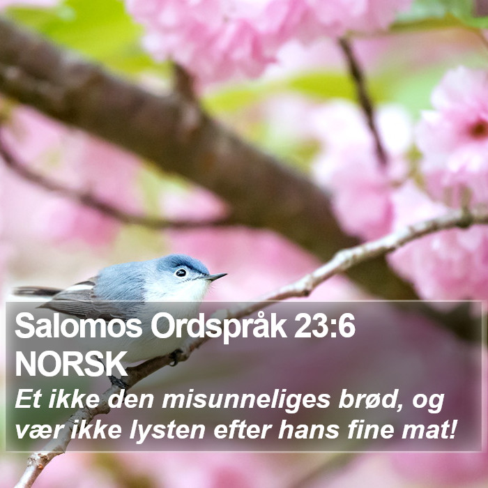 Salomos Ordspråk 23:6 NORSK Bible Study