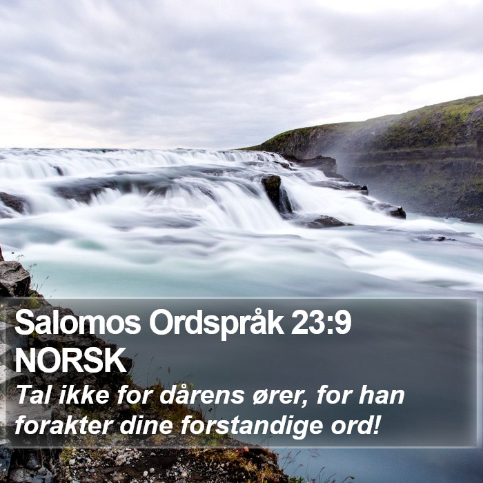 Salomos Ordspråk 23:9 NORSK Bible Study