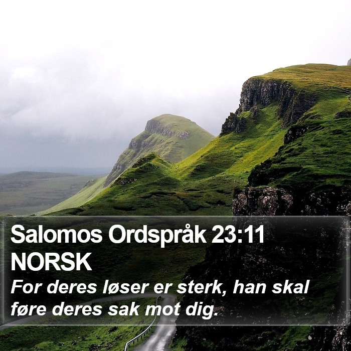 Salomos Ordspråk 23:11 NORSK Bible Study