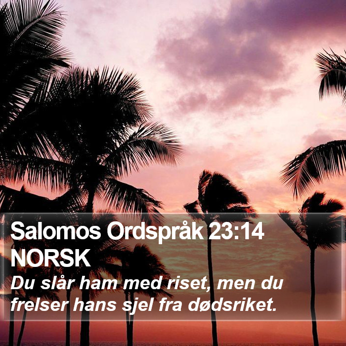 Salomos Ordspråk 23:14 NORSK Bible Study