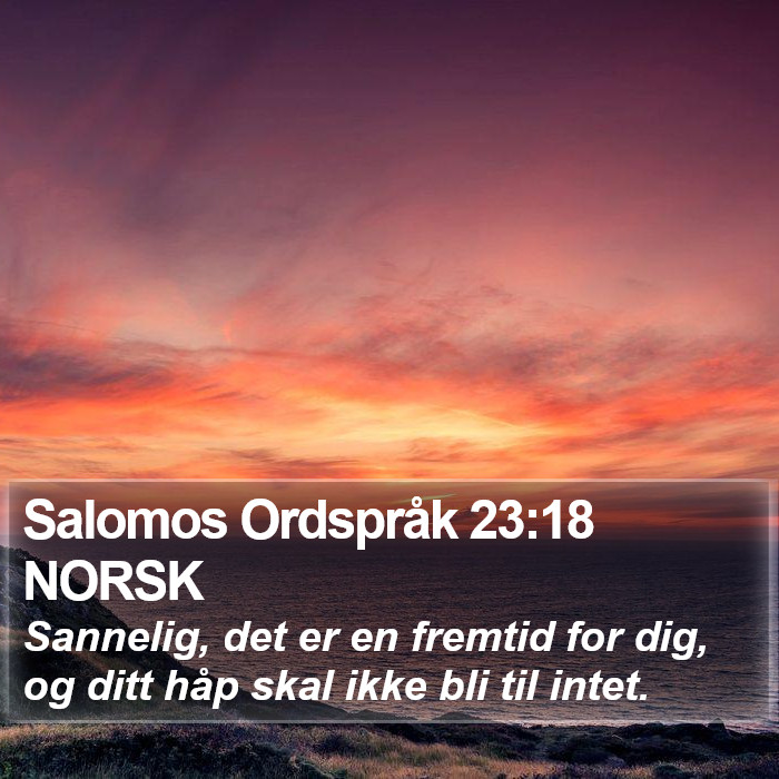 Salomos Ordspråk 23:18 NORSK Bible Study