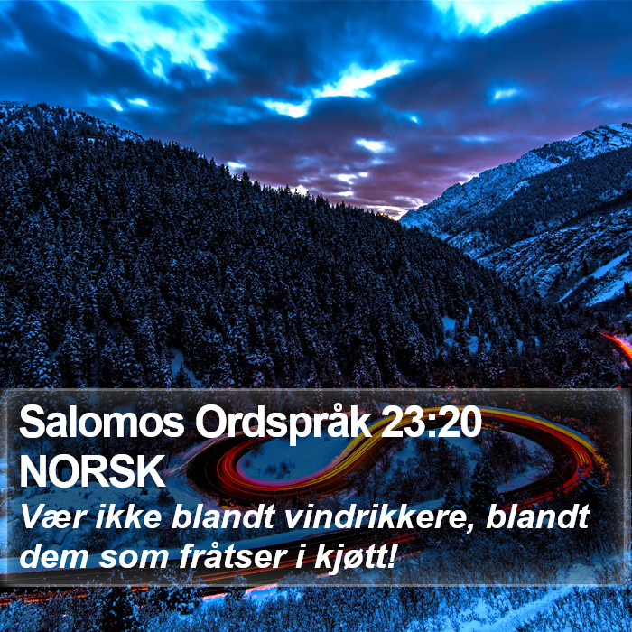 Salomos Ordspråk 23:20 NORSK Bible Study