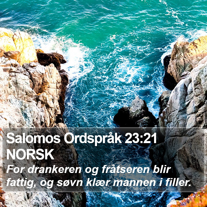Salomos Ordspråk 23:21 NORSK Bible Study