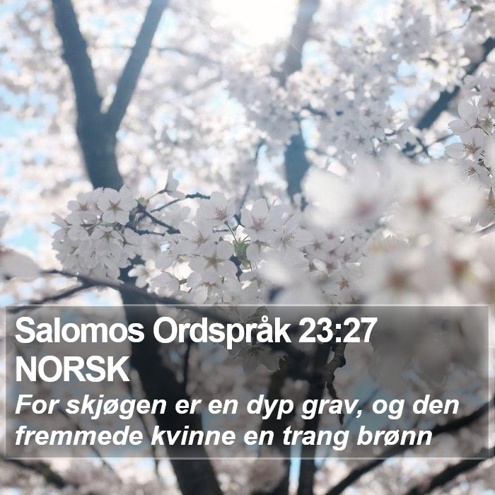 Salomos Ordspråk 23:27 NORSK Bible Study