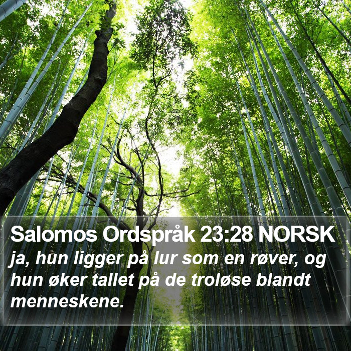 Salomos Ordspråk 23:28 NORSK Bible Study
