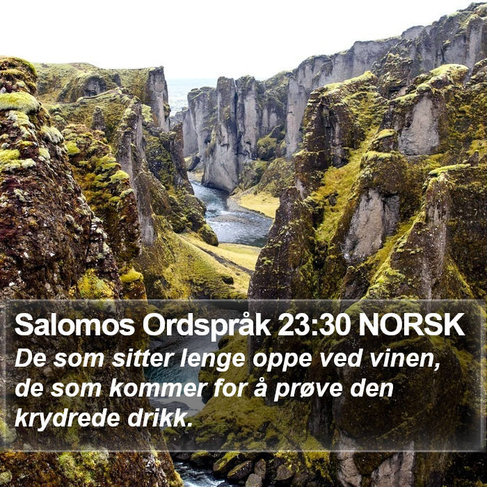 Salomos Ordspråk 23:30 NORSK Bible Study