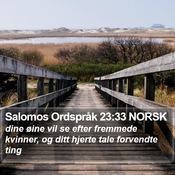 Salomos Ordspråk 23:33 NORSK Bible Study