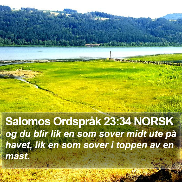 Salomos Ordspråk 23:34 NORSK Bible Study