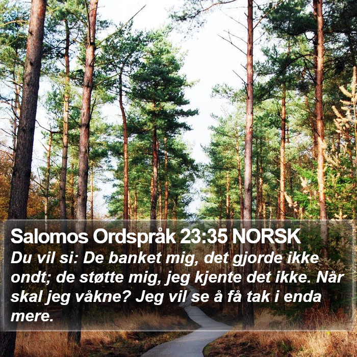 Salomos Ordspråk 23:35 NORSK Bible Study