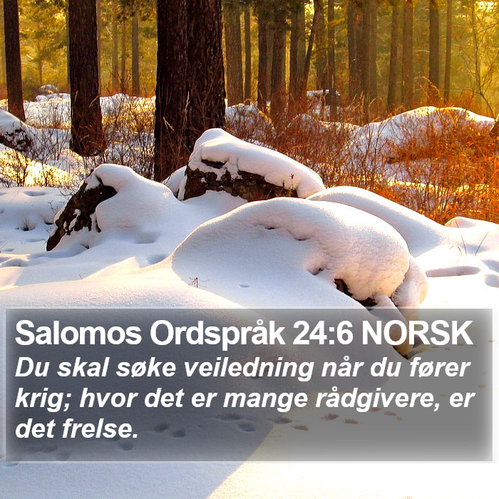 Salomos Ordspråk 24:6 NORSK Bible Study