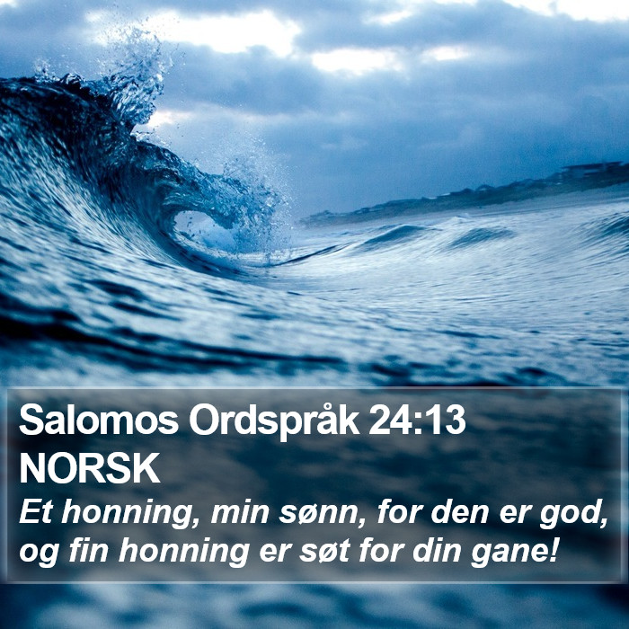 Salomos Ordspråk 24:13 NORSK Bible Study