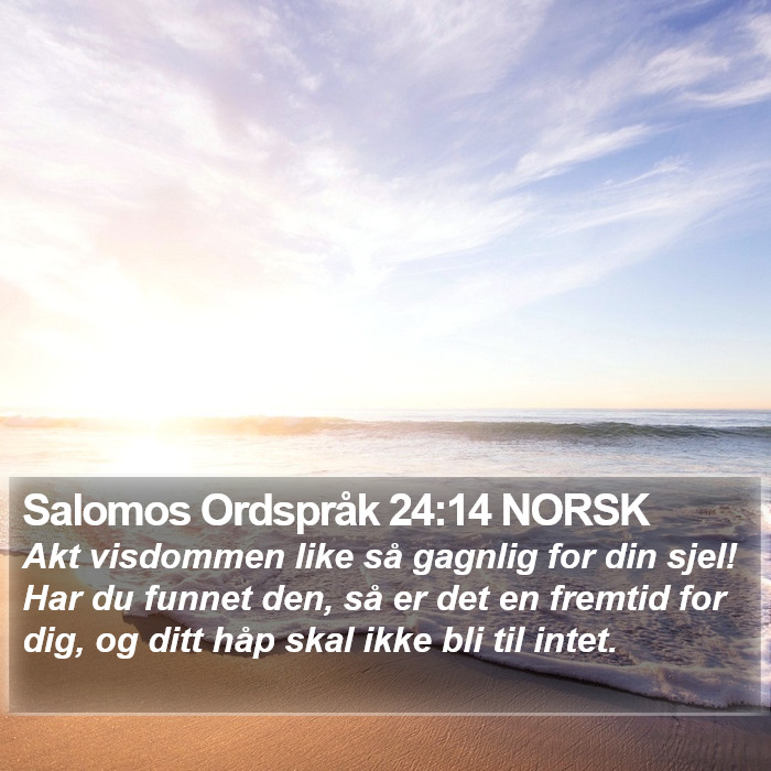 Salomos Ordspråk 24:14 NORSK Bible Study