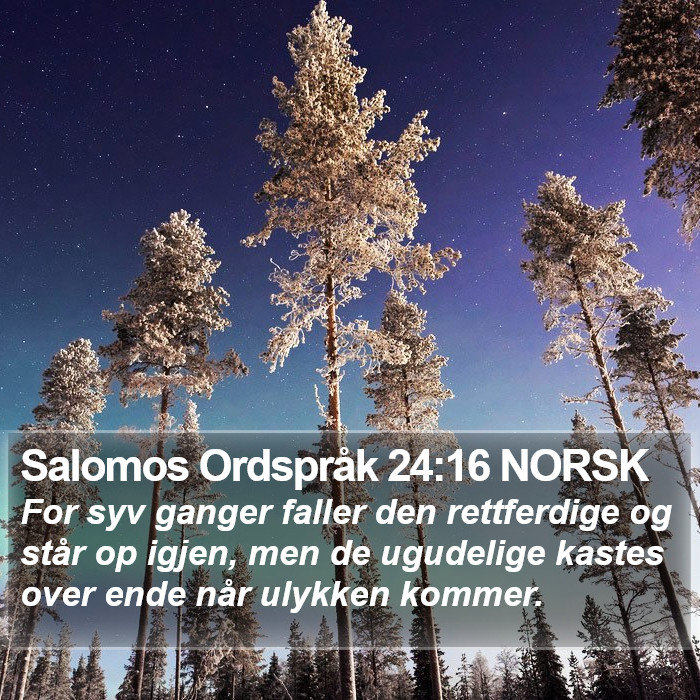 Salomos Ordspråk 24:16 NORSK Bible Study