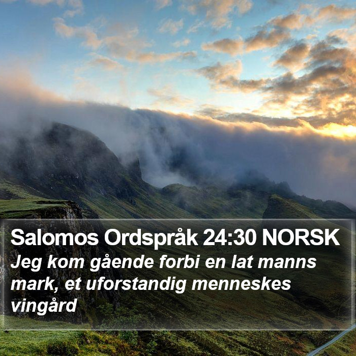 Salomos Ordspråk 24:30 NORSK Bible Study