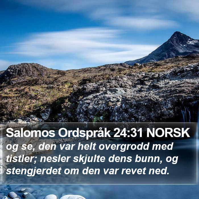 Salomos Ordspråk 24:31 NORSK Bible Study