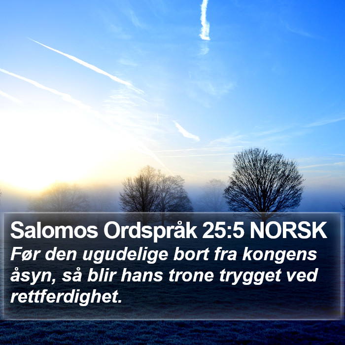 Salomos Ordspråk 25:5 NORSK Bible Study