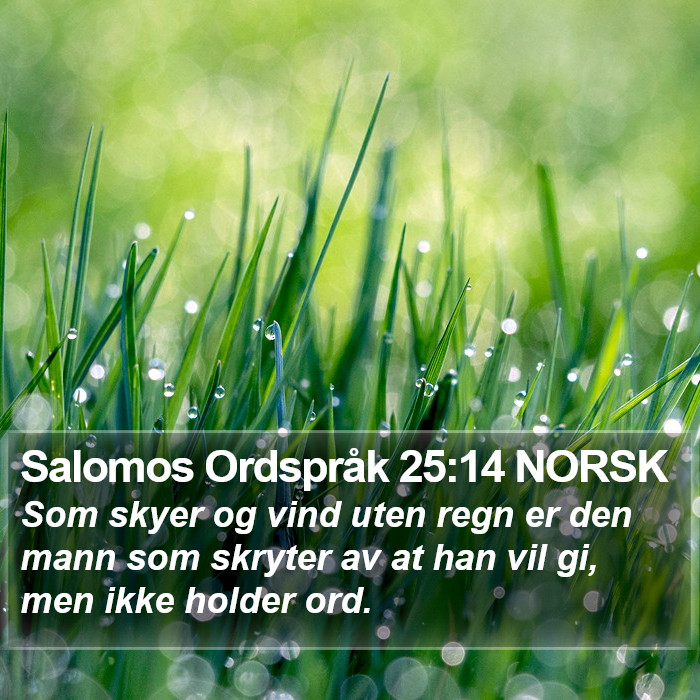 Salomos Ordspråk 25:14 NORSK Bible Study