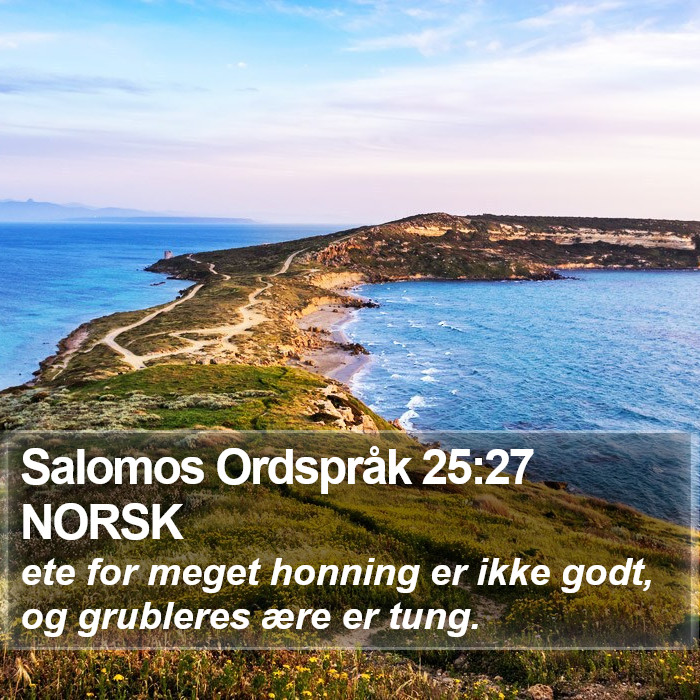 Salomos Ordspråk 25:27 NORSK Bible Study