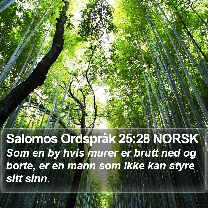 Salomos Ordspråk 25:28 NORSK Bible Study