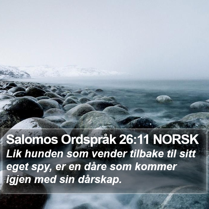 Salomos Ordspråk 26:11 NORSK Bible Study