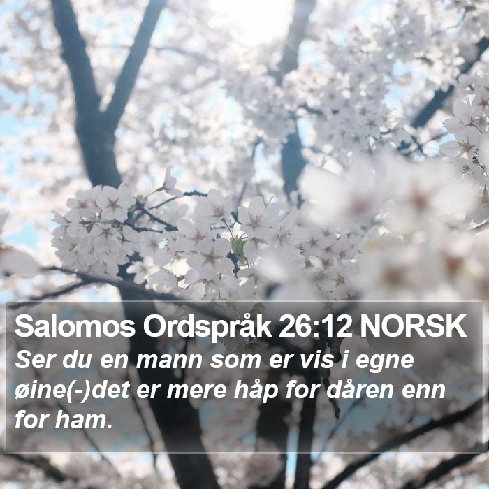 Salomos Ordspråk 26:12 NORSK Bible Study