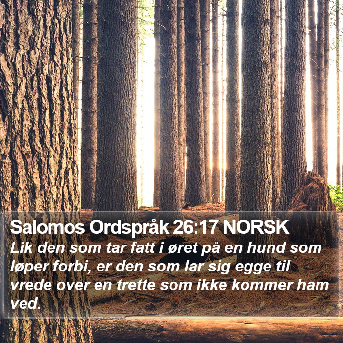 Salomos Ordspråk 26:17 NORSK Bible Study