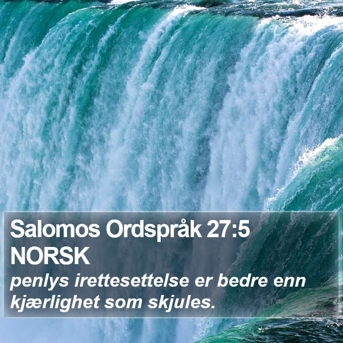 Salomos Ordspråk 27:5 NORSK Bible Study