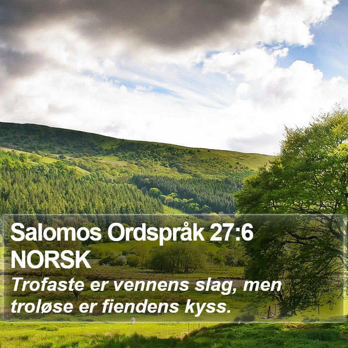 Salomos Ordspråk 27:6 NORSK Bible Study