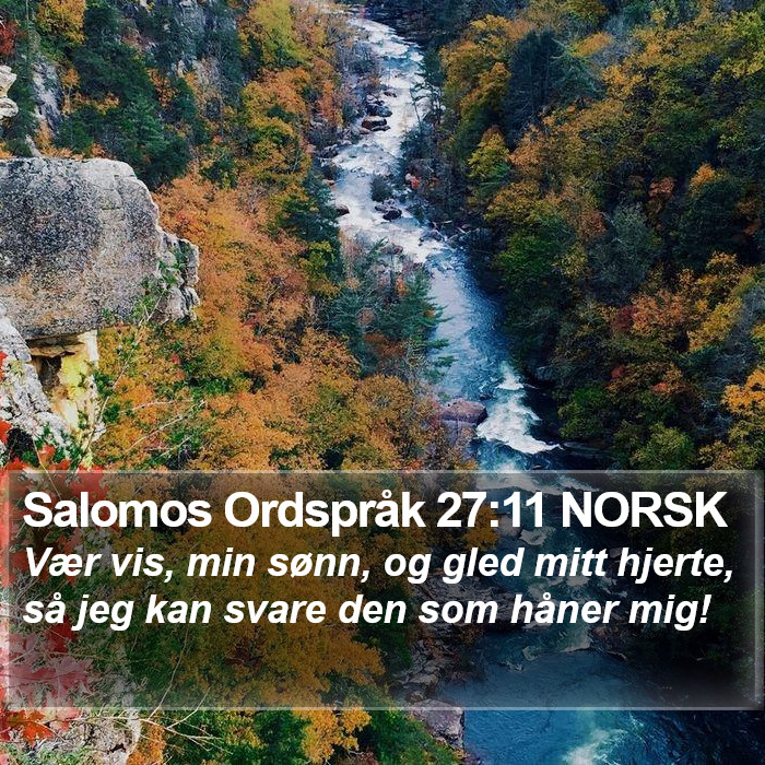 Salomos Ordspråk 27:11 NORSK Bible Study