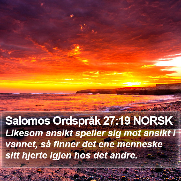 Salomos Ordspråk 27:19 NORSK Bible Study