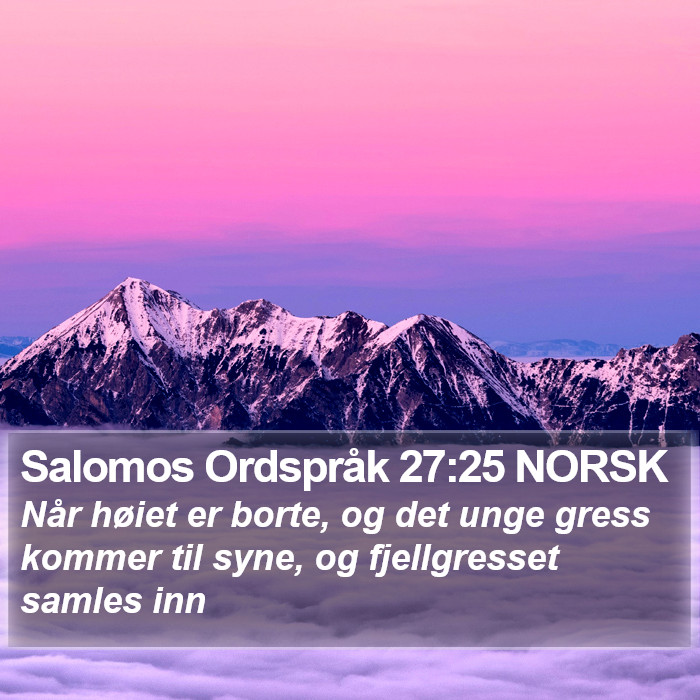 Salomos Ordspråk 27:25 NORSK Bible Study