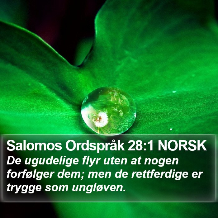 Salomos Ordspråk 28:1 NORSK Bible Study