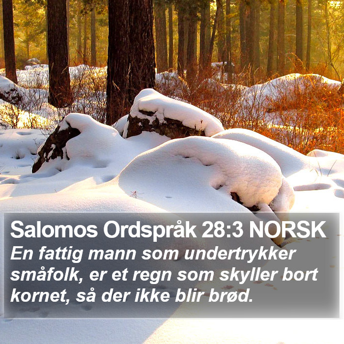 Salomos Ordspråk 28:3 NORSK Bible Study