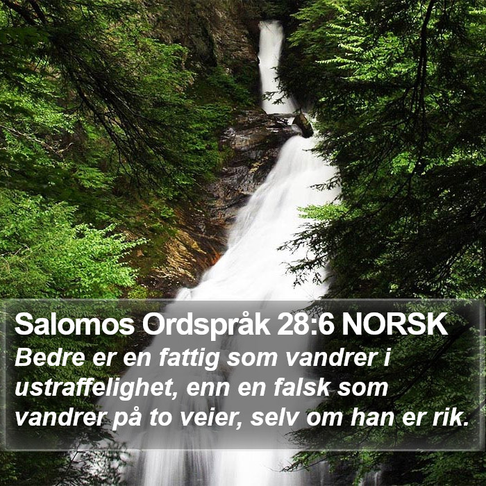 Salomos Ordspråk 28:6 NORSK Bible Study