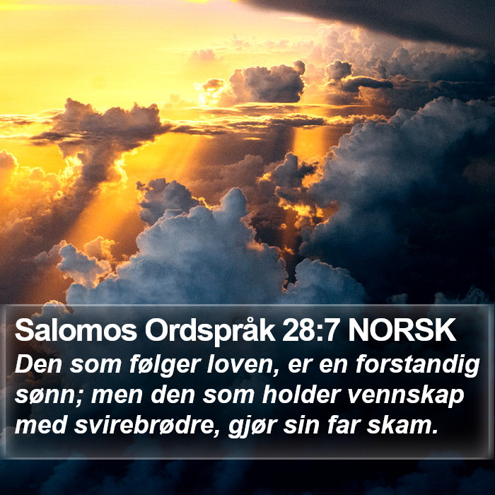 Salomos Ordspråk 28:7 NORSK Bible Study